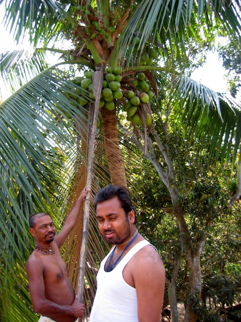  gaura mandal parikrama. 2004.03.10